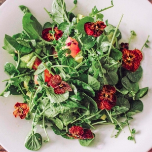 avocado-watercress-salad